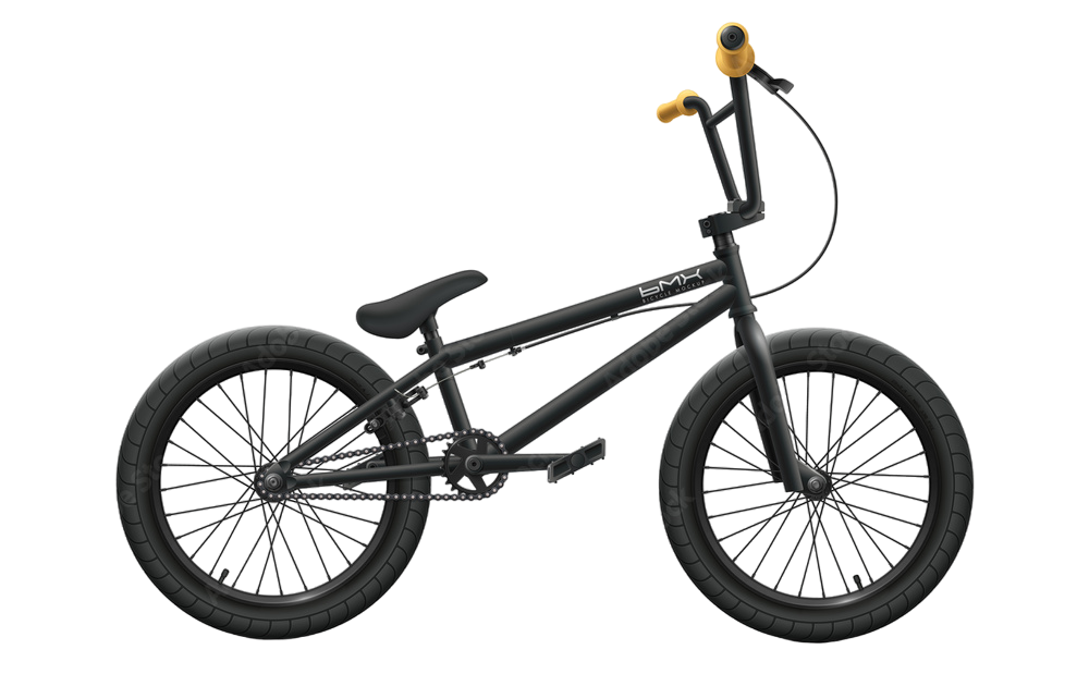 bmx2